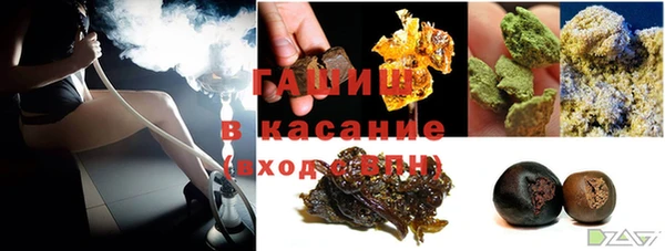 стаф Касимов