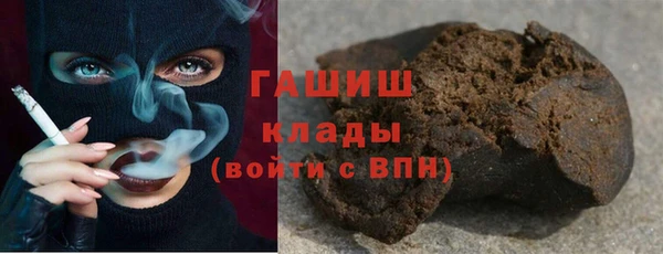 стаф Касимов