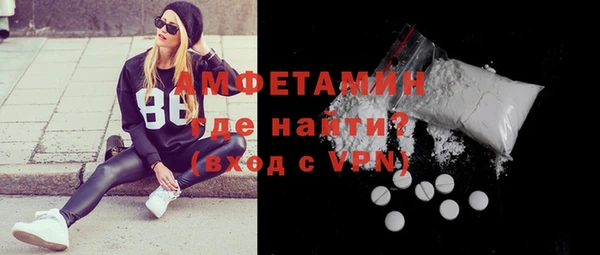 стаф Касимов