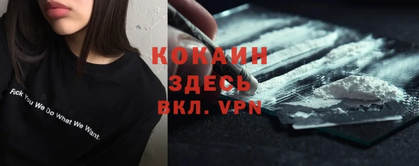 стаф Касимов