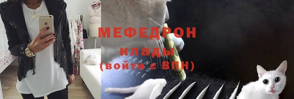 стаф Касимов