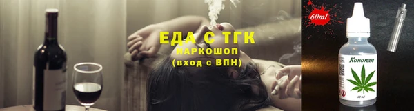 стаф Касимов