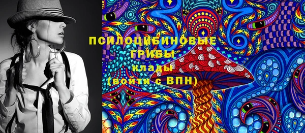 стаф Касимов