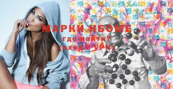стаф Касимов