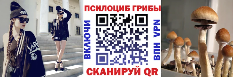 Купить где  Вязники  Псилоцибиновые грибы ЛСД 