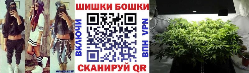 Каннабис семена  Купить закладки  Вязники 